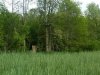 IMG00045-20100520-1750.jpg
