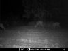 MDGC0104.jpg