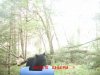 MDGC0004.jpg