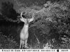 trail cam august 30 -2010 021.jpg