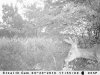 trail cam august 30 -2010 031.jpg