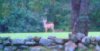 8pt2.jpg