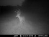 MDGC0505.JPG