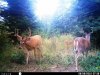 HUNT0235.jpg