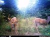 HUNT0236.jpg