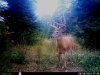HUNT0252.jpg