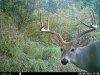 HUNT0319.jpg