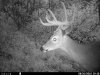 HUNT0457.jpg