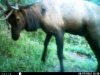 HUNT0193.jpg