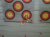 archery3.jpg