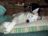 Christmas 2010 022.jpg