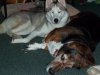 Christmas 2010 099.jpg