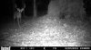 HUNT0166.jpg