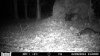 HUNT0174.jpg