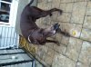 personal pics 040.jpg