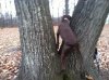 personal pics 050.jpg