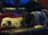 personal pics 066.jpg