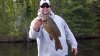 Tim's Smallie.jpg