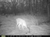 Doe (60).jpg