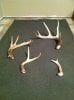 Recent Sheds 3-12-2013.jpg