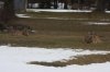 IMG_2932.jpg