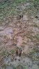 IMG_20130317_092446_244.jpg