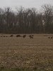 130322_0000.jpg