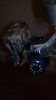 2013-02-27_19-51-03_219.jpg