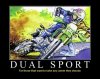 dual.jpg
