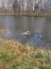 !cid__mms_img-312488101.jpg