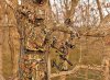 pbh_best-camo-patterns-by-region_a.jpg
