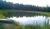 IMAG0215.jpg