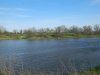 pond1.jpg