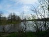 pond2.jpg