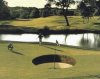 golf for beginners.jpg
