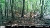 HUNT0206 (2).jpg
