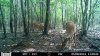 HUNT0211.jpg