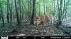 HUNT0213.jpg