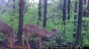Rivers Edge 5-17-13 021.jpg
