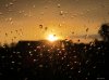 Sunset Drops Sig.jpg
