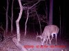 MDGC0165.jpg