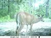 5-26-13 BG Lite 018.jpg
