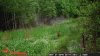 Fawn creek 1.jpg