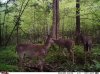 Covert 1st pull (a).jpg