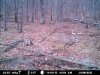 hit list buck.jpg