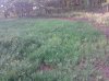 IMG_20130510_190511.jpg