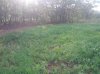 IMG_20130510_190502.jpg