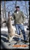 feb 16 yote.jpg