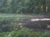 PICT0118.jpg