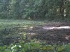 PICT0120.jpg